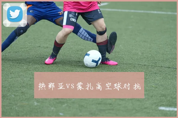 热那亚vs蒙扎高空球对抗